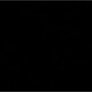 Meet your Posher, Guillermo